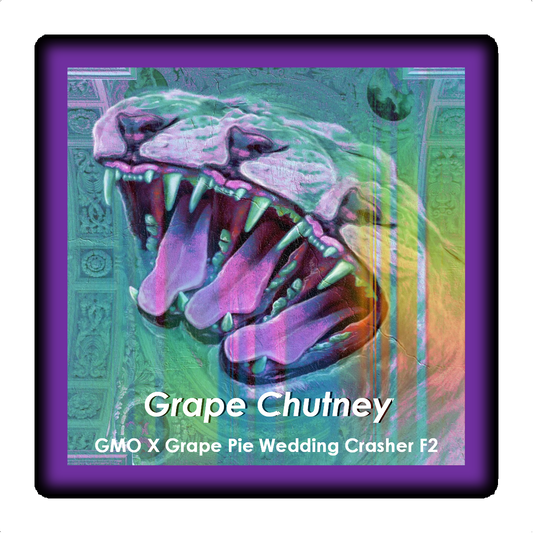 Grape Chutney