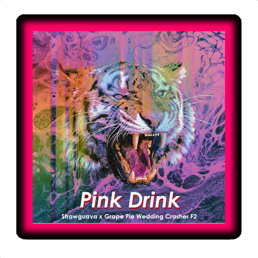 Pink Drink