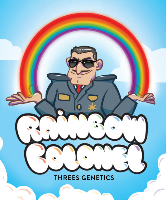 Rainbow Colonel Box Set