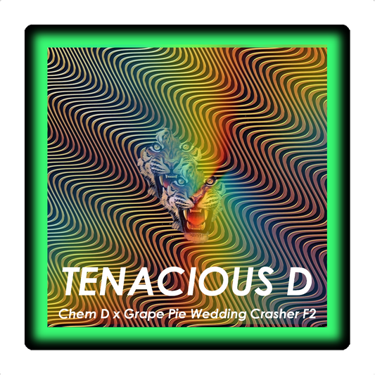Tenacious D